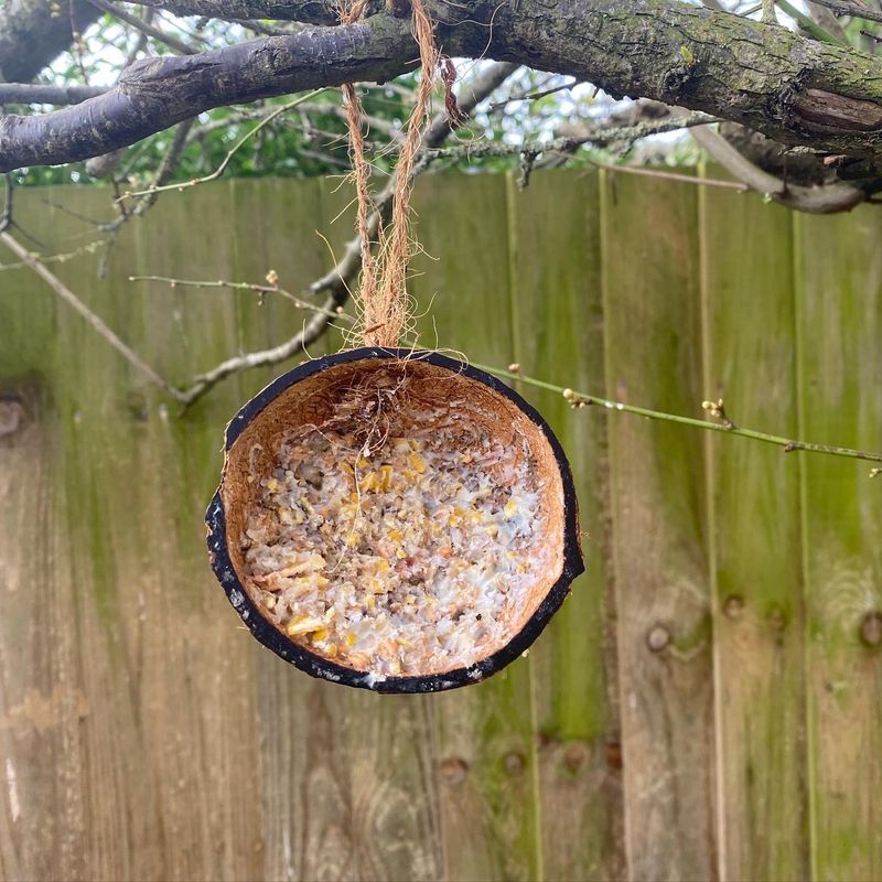 Coconut Shell Swing