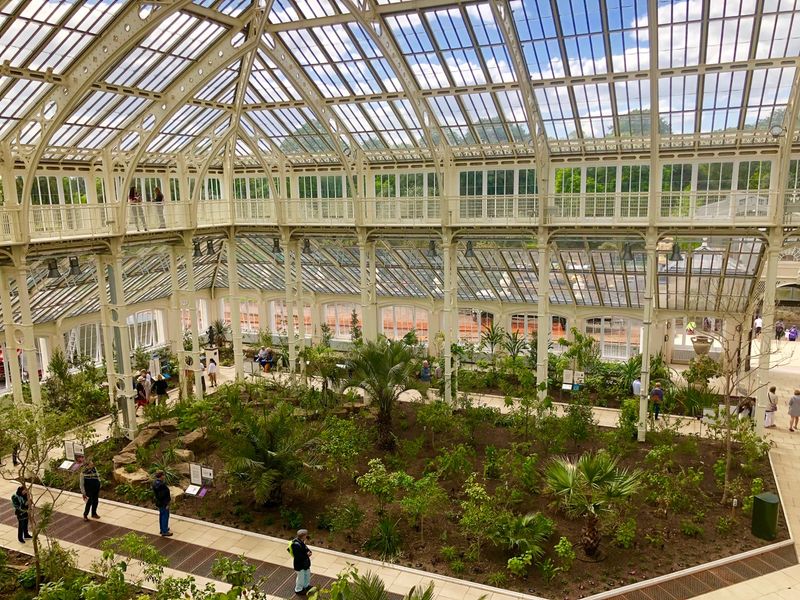 Botanical Rescue Missions