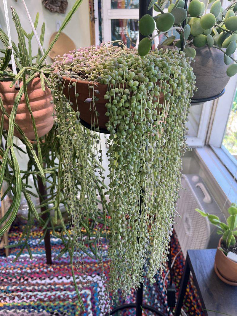 Humidity Considerations