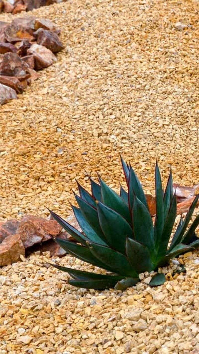 Copper Crushed Rock Accent Zones