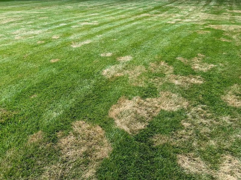 Implement Organic Treatments