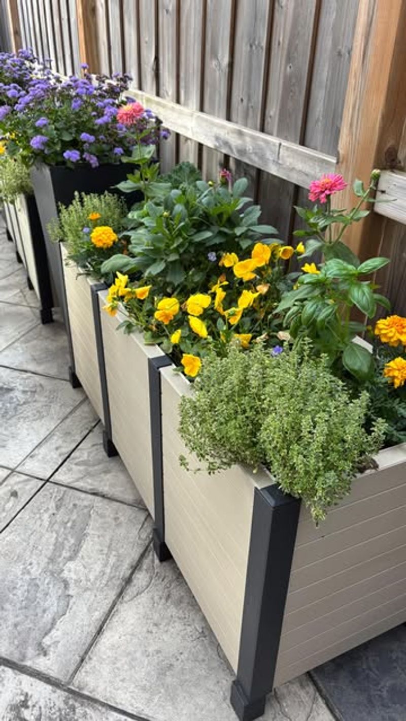 Apply Water-Retaining Polymers For Container Gardens