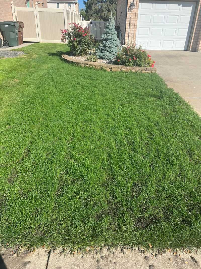 Add Topsoil to Low Areas