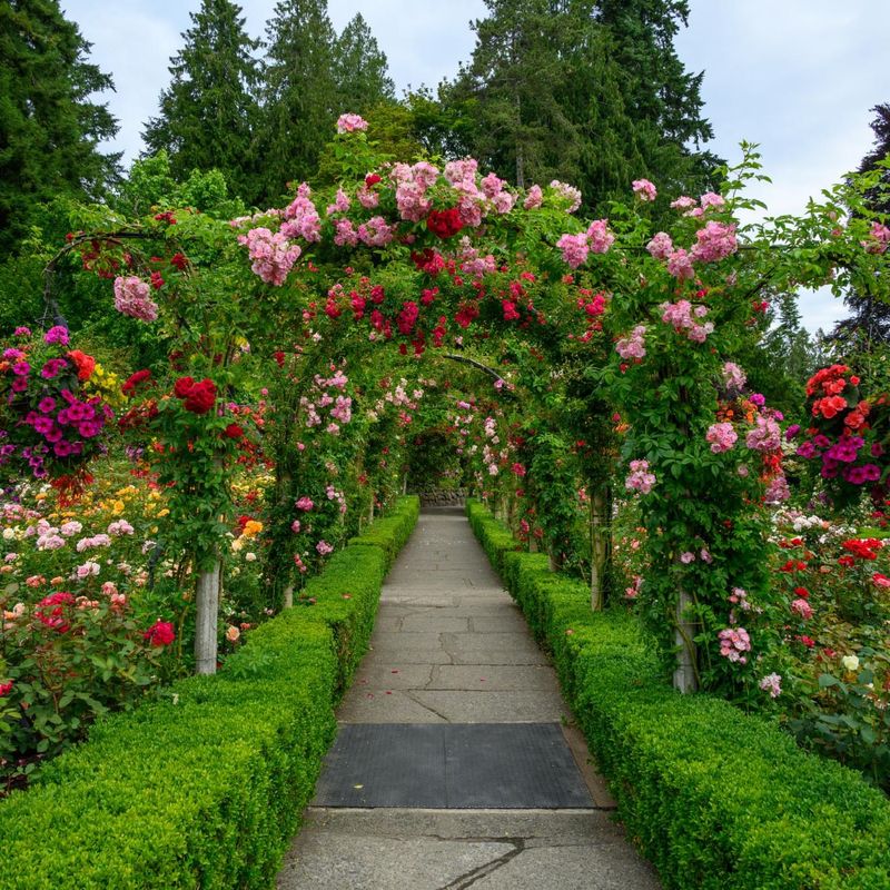 Annual Flower Count: 1 Million+ Plants