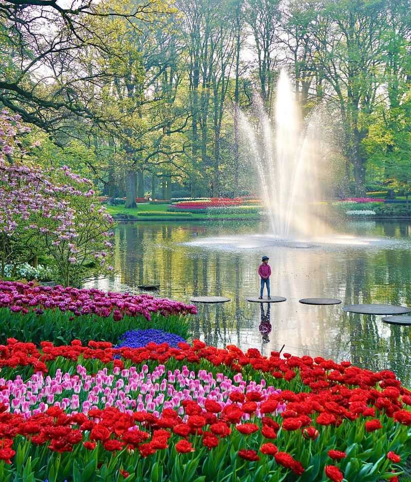 Keukenhof Gardens, Netherlands