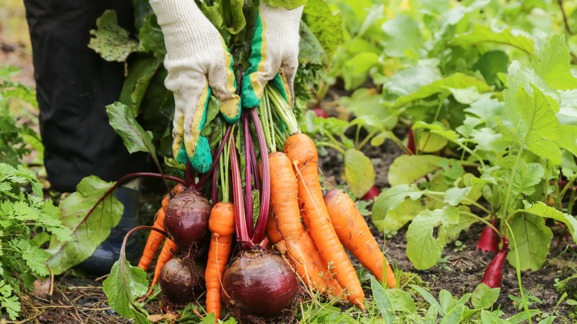 These Are the Vegetables That Will Grow The Fastest In Your Garden