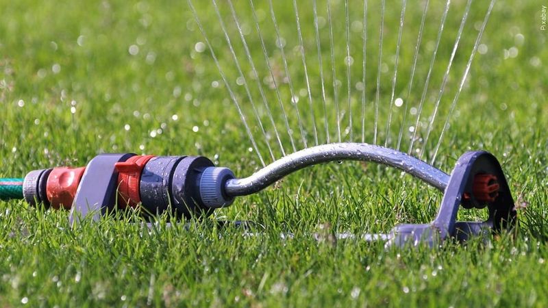 Watering During Peak Heat