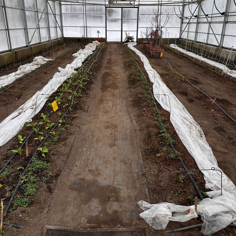 Floating Row Covers