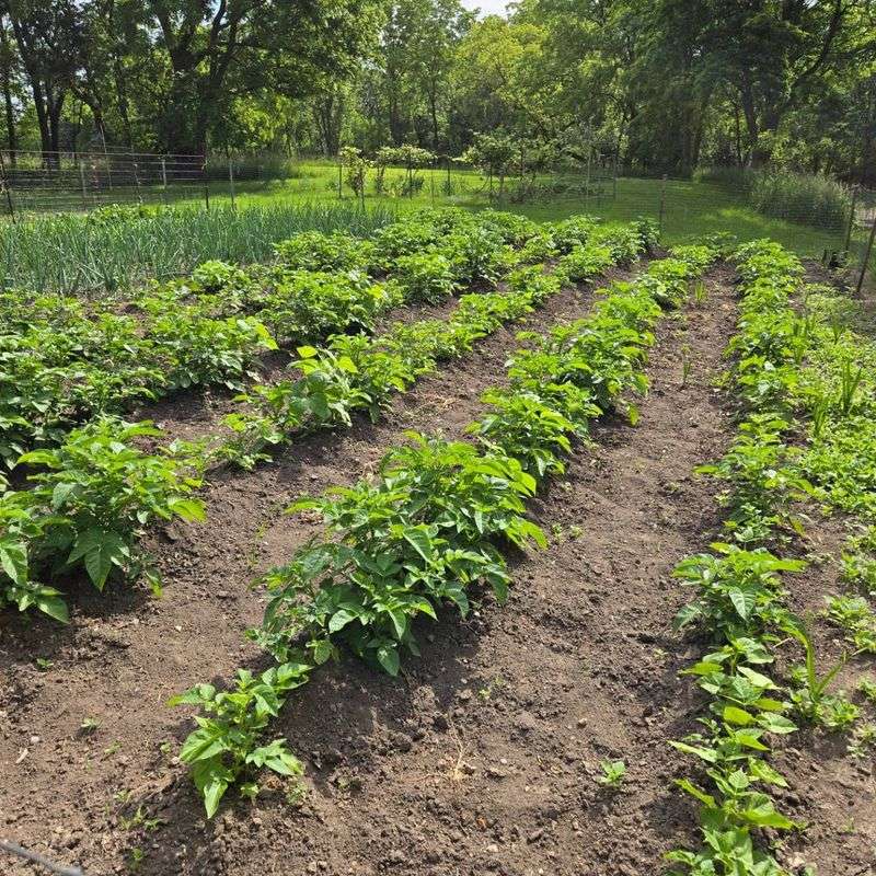 Calculate Your Growing Season
