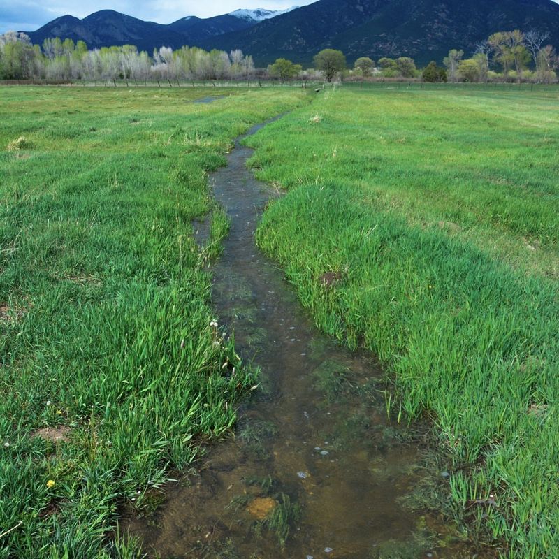 Acequia Irrigation