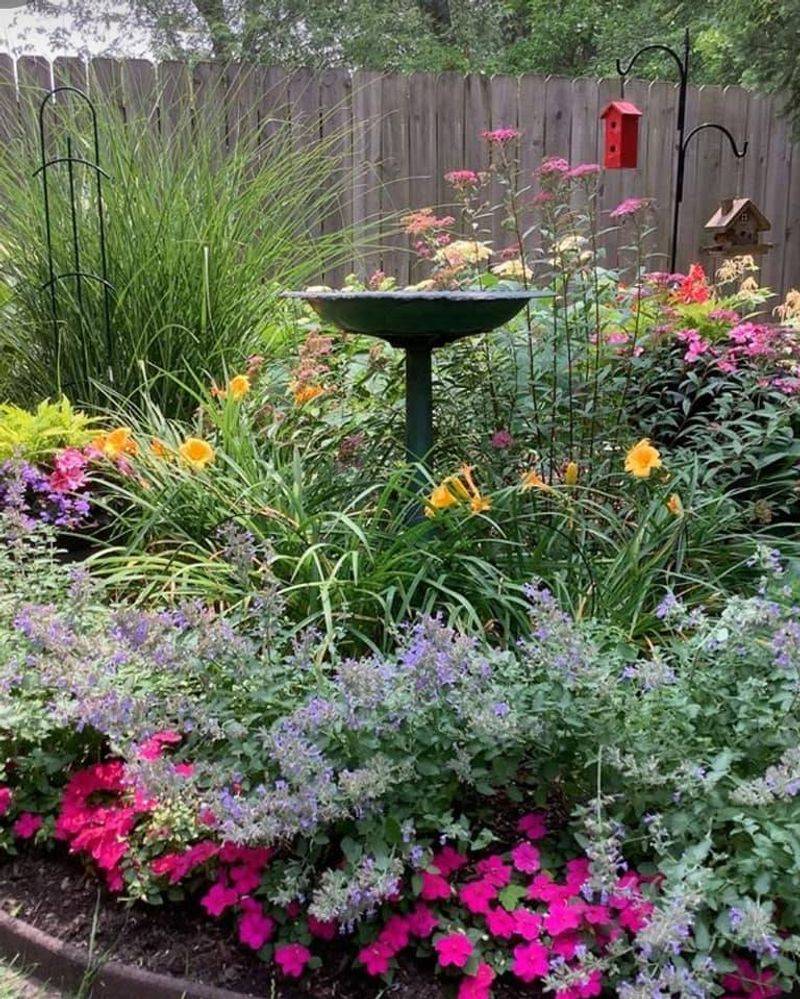 Near Native Flowering Plants