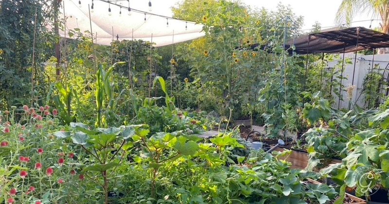 Create Microclimate Zones