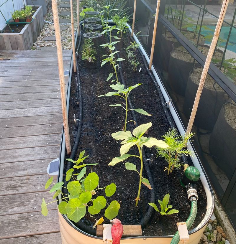 Use Self-Watering Systems