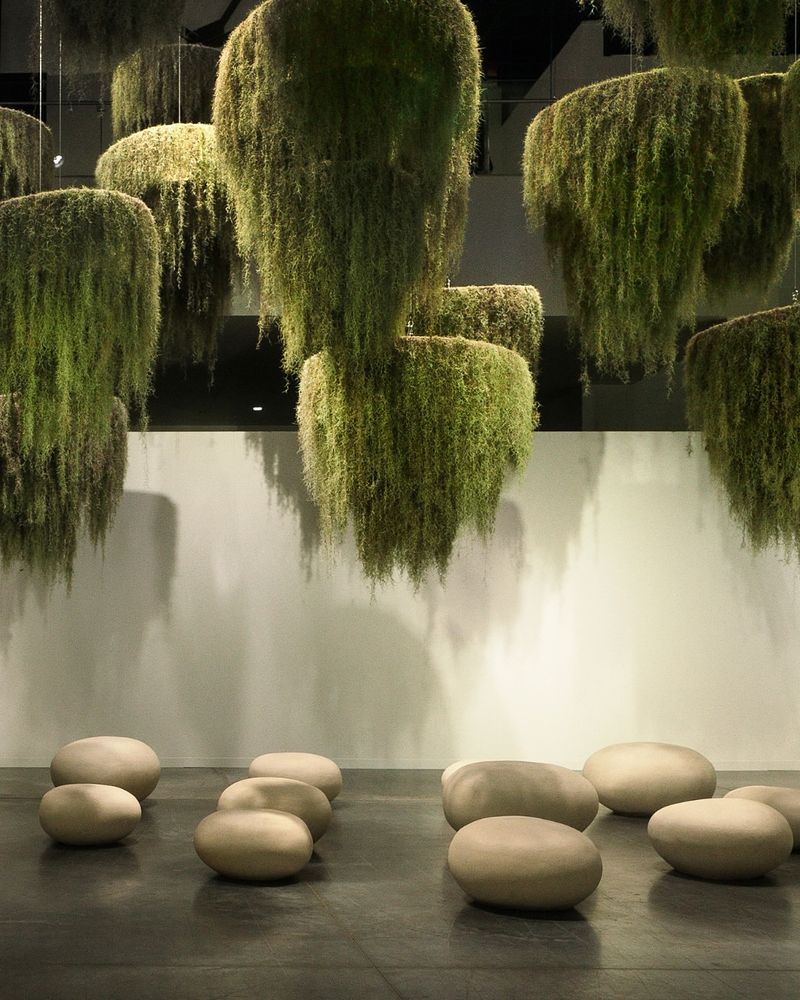 Spanish Moss Hanging Baskets
