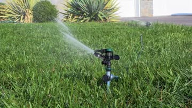 Standard Lawn Sprinkler