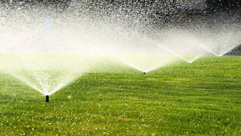 Overnight Lawn Soaking