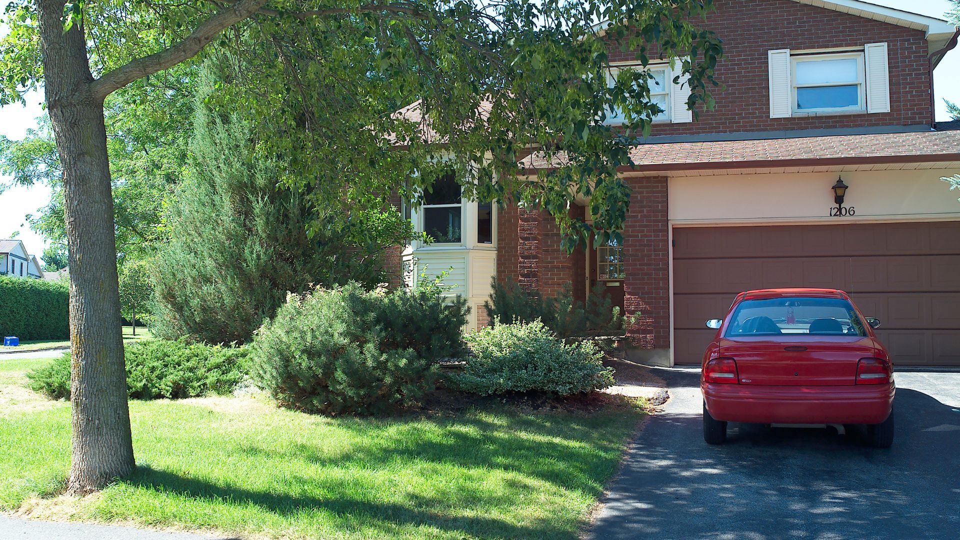 Trees That Shouldn’t Be Planted Near Driveways In Georgia (And What To Grow Instead)