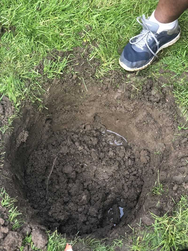 Water-Saturated Soil Conditions