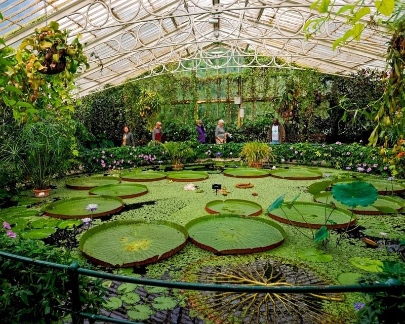 Record-Breaking Plant Collections