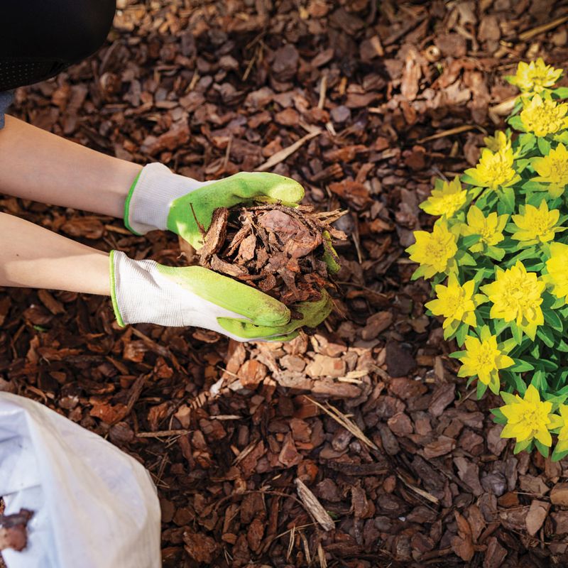 Moisture-Retaining Mulch Layer