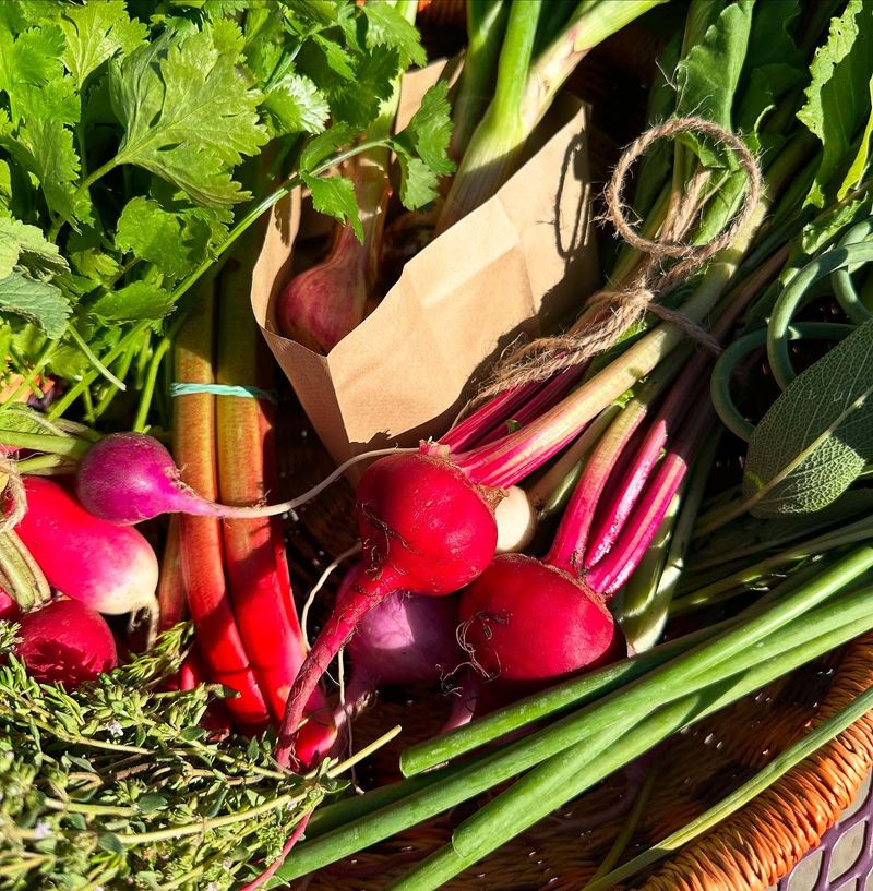 Beets