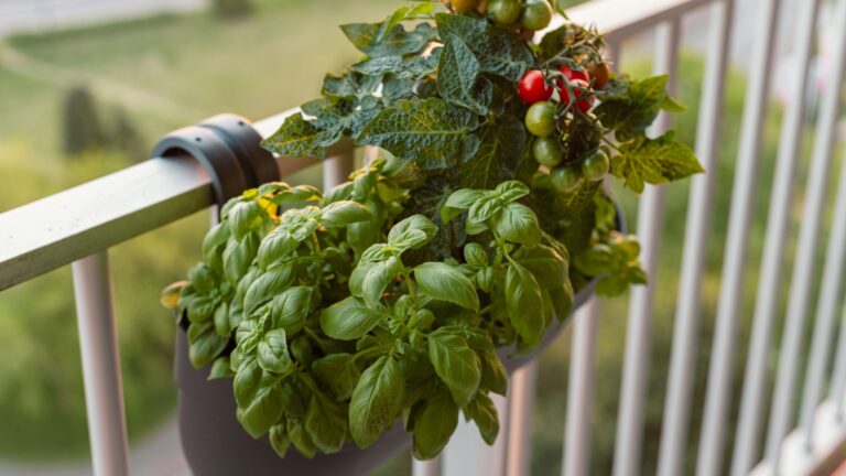 Fantastic Container Vegetable Combinations For Better Produce In Small Spaces