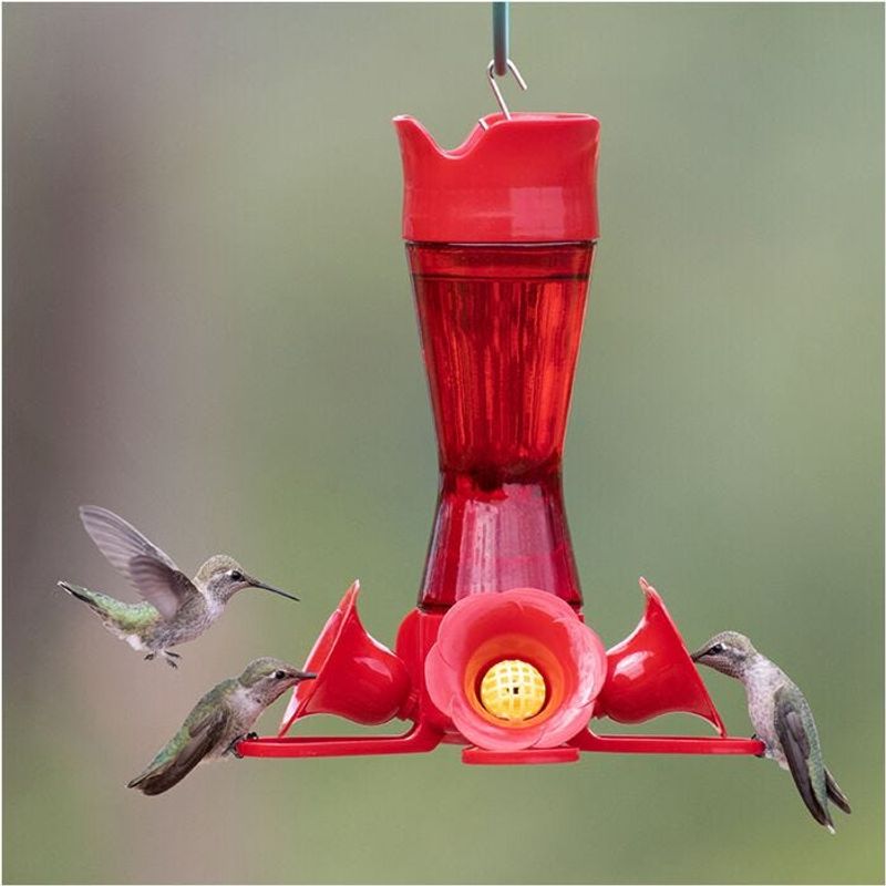 Memory Association with First Feeding Experiences