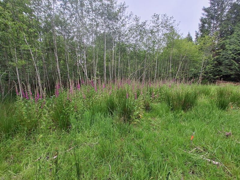 Encroaching on Wetlands