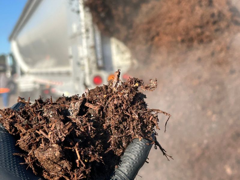 Mushroom Compost