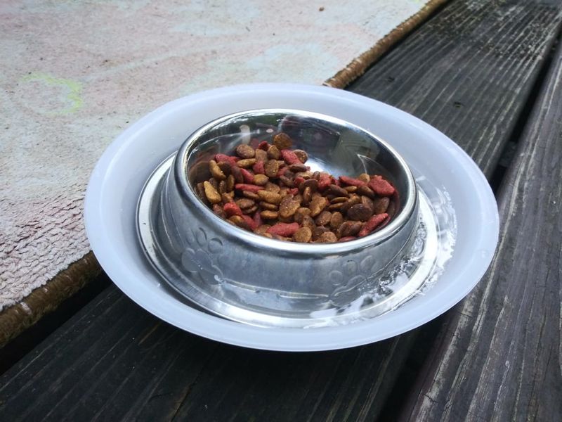 Pet Food Bowls