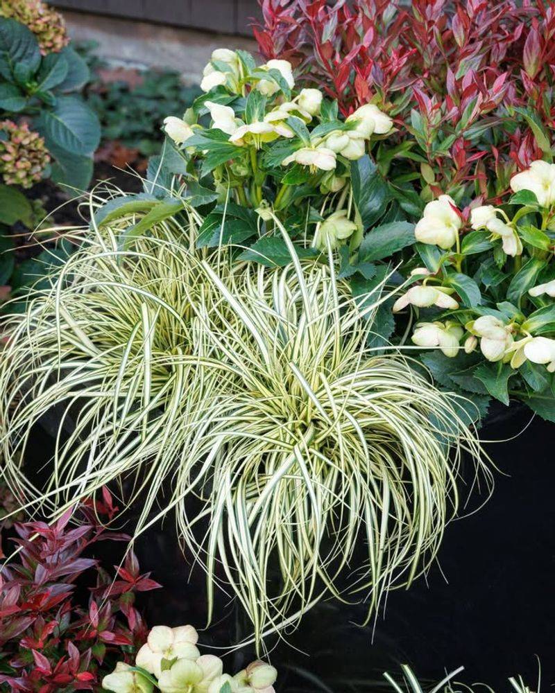 Seasonal Plant Rotation