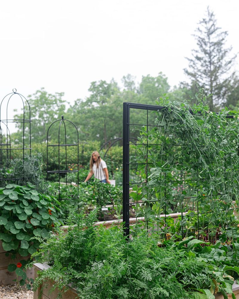 Garden-to-Table Joy