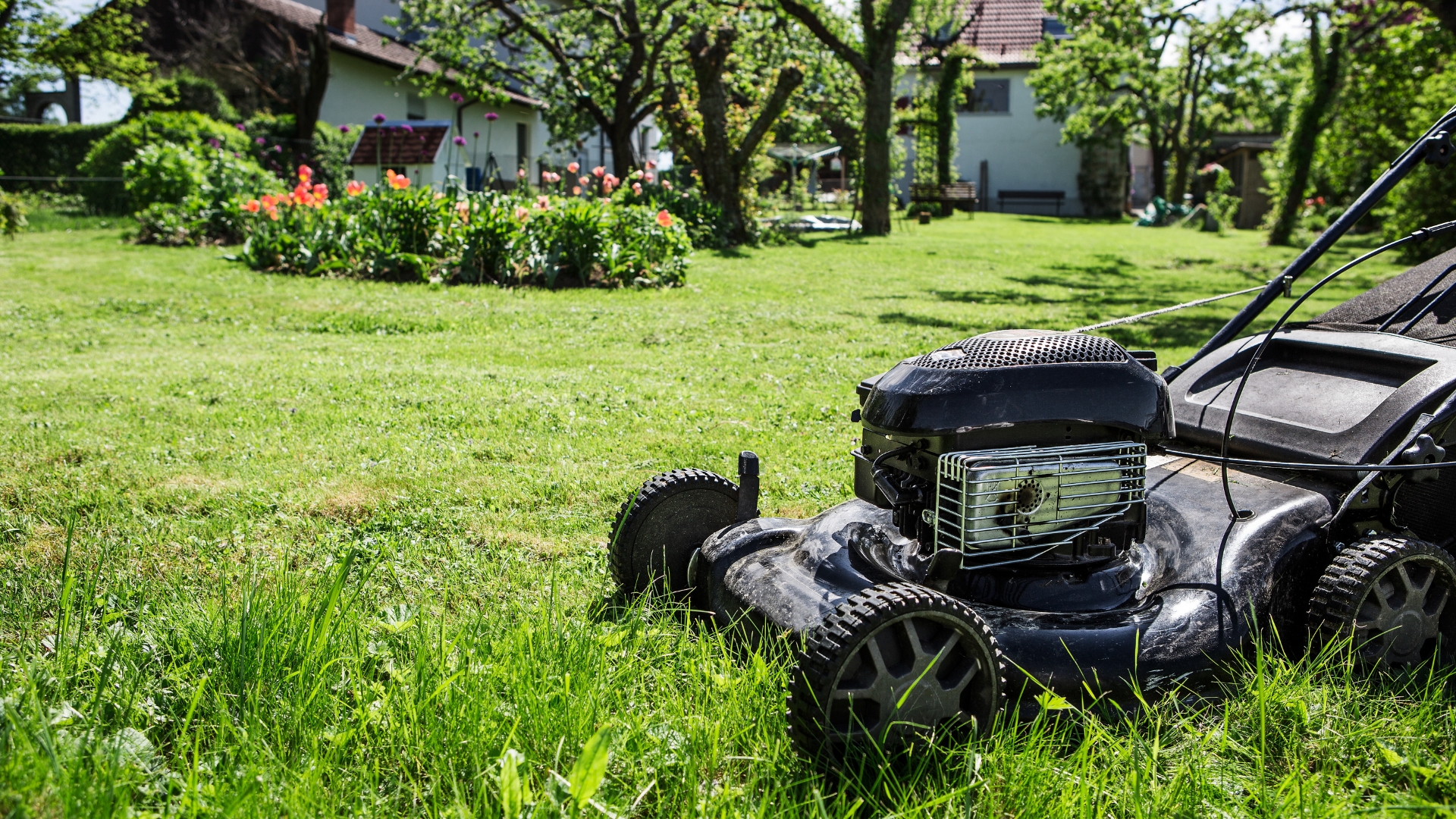 mower