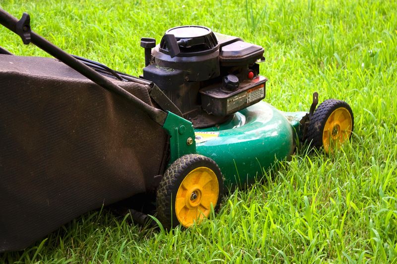 Excessive Lawn Height