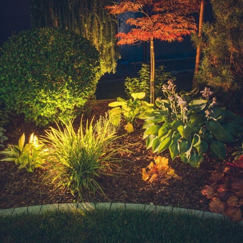 Nighttime Activity Sounds