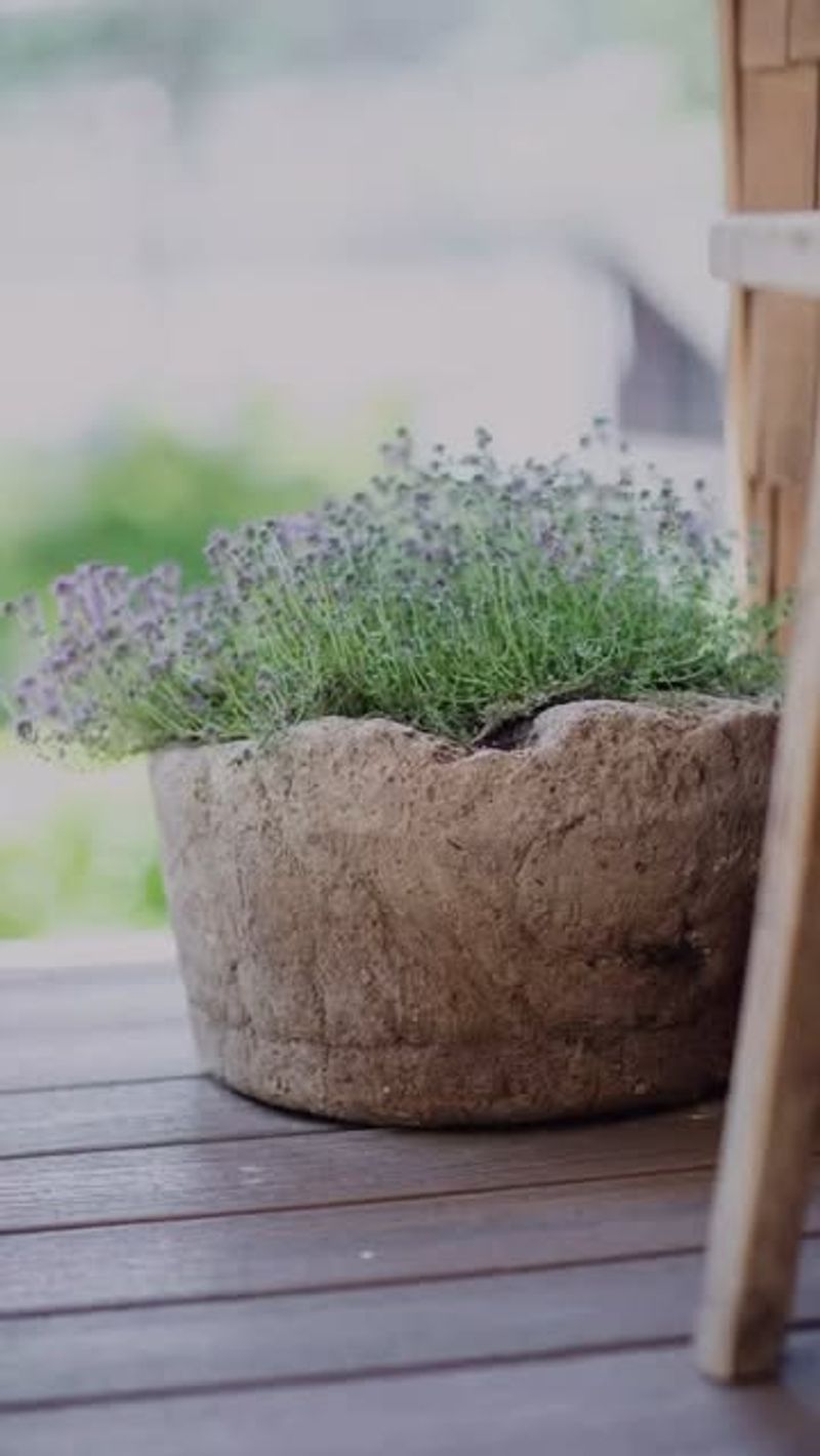 Make Hypertufa Planters