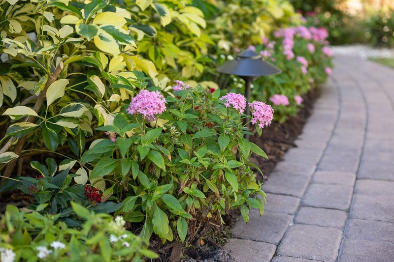 Switch To Evening Fertilizing