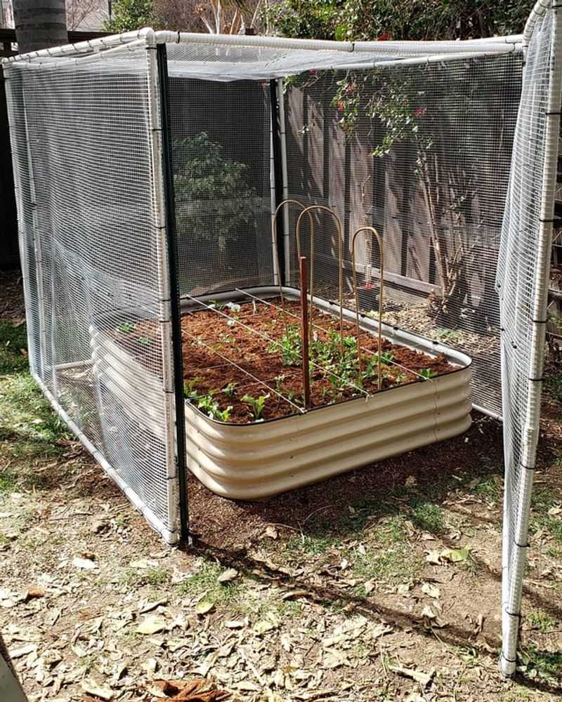 Create Barriers With Hardware Cloth