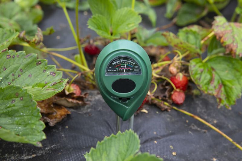 Neglecting Soil pH