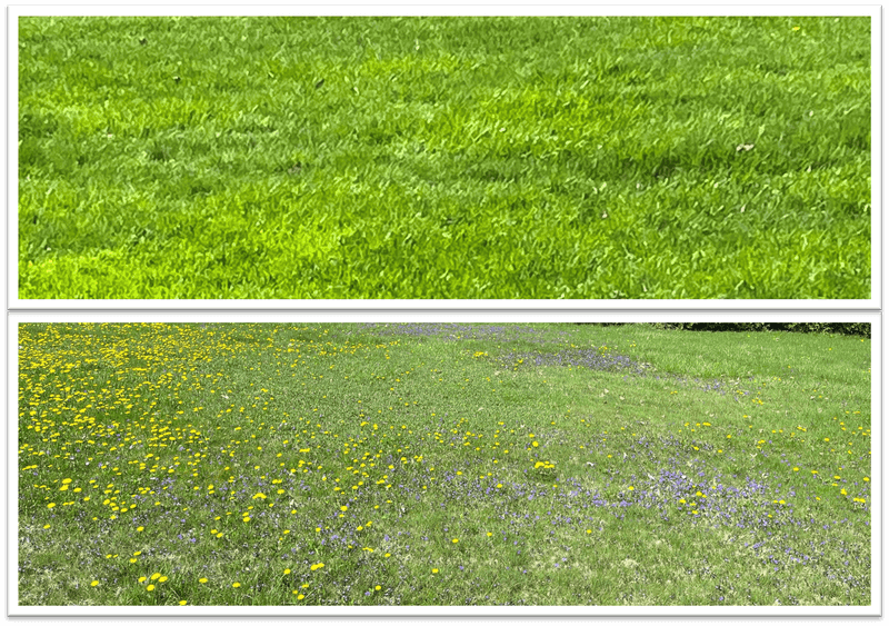 Applying Pesticides Before Rain