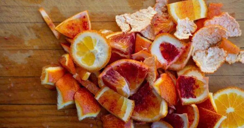 Scatter Citrus Peels Throughout Garden