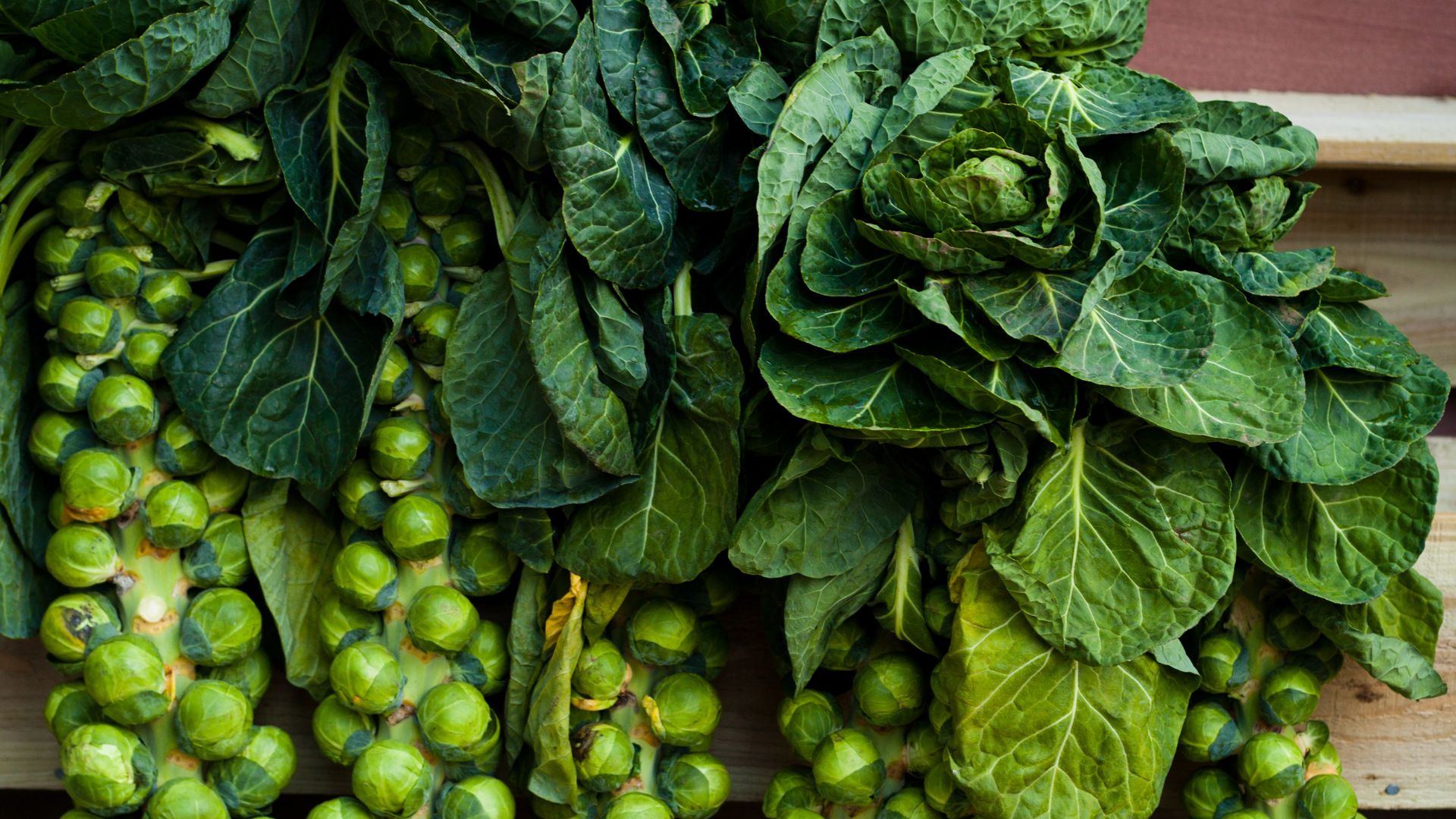 brussel sprouts