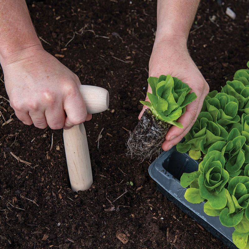 Soil Block Dibber Tool