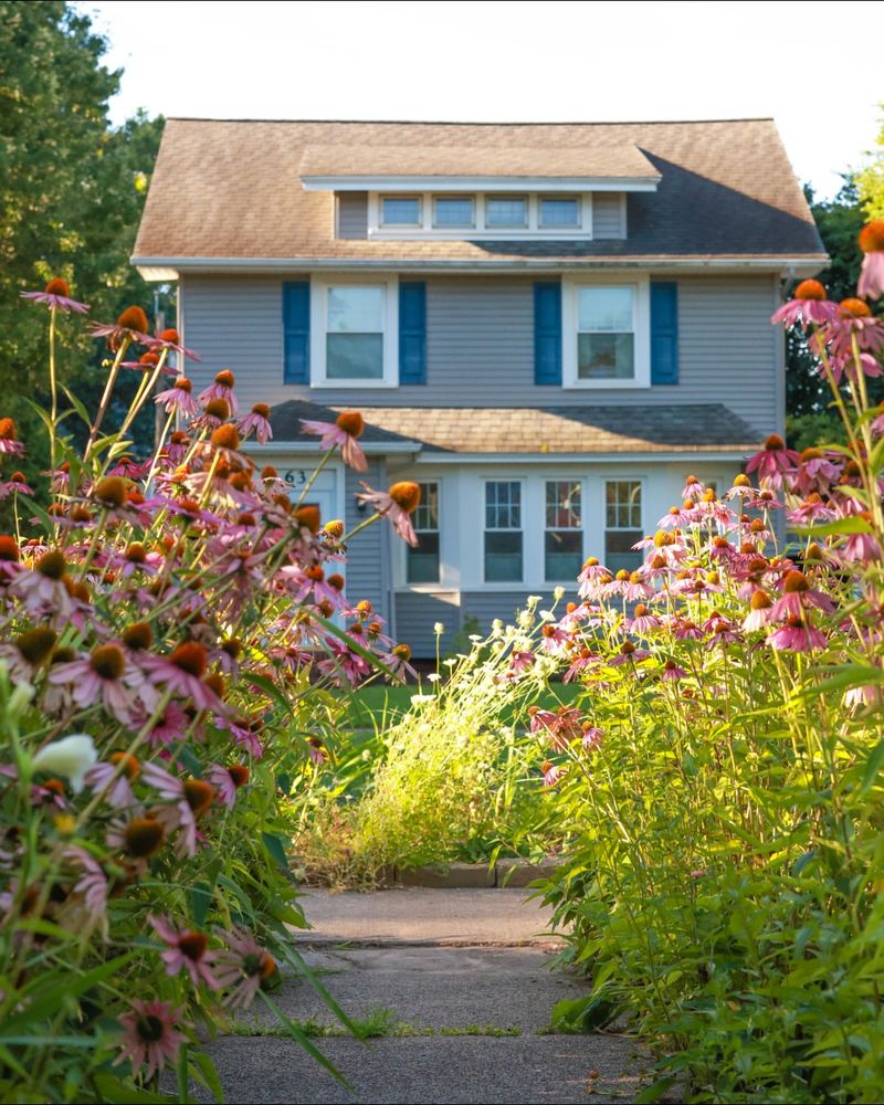 Pollinator Pathway