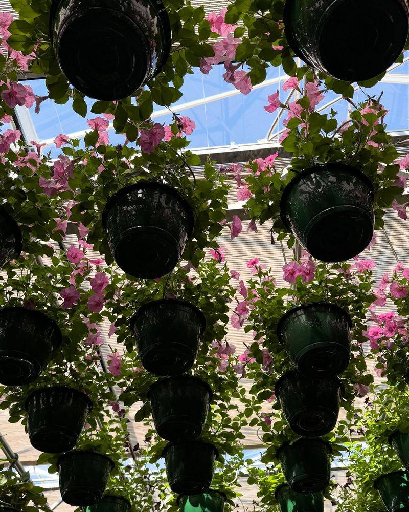 Hanging Basket Flower Towers