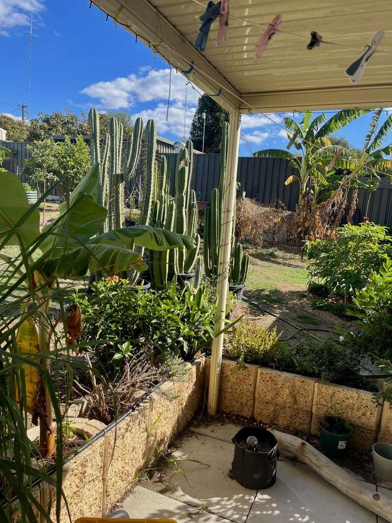 Microclimates Matter