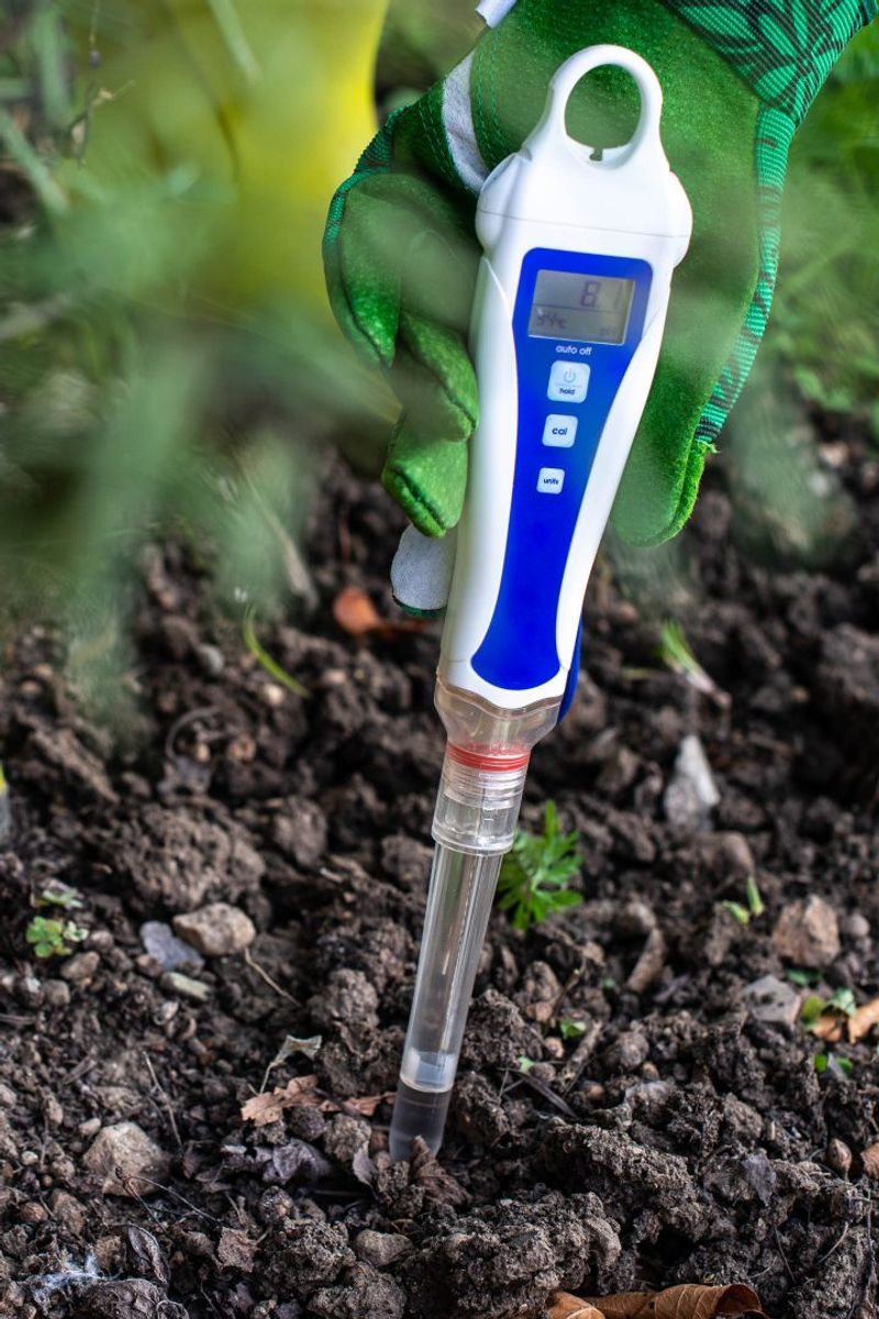 Acidic Soil Imbalance