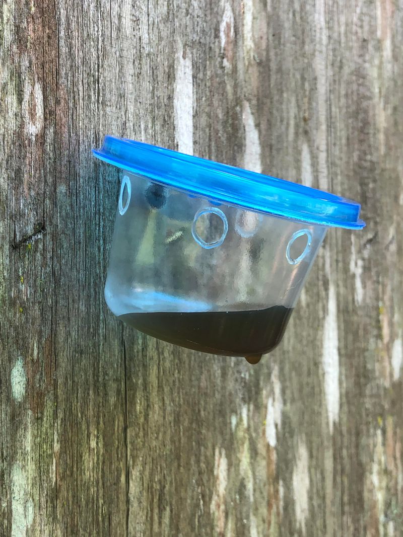 Predator Urine Strikes Fear