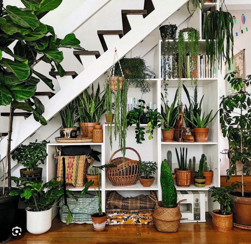 Under-Stair Plant Nook