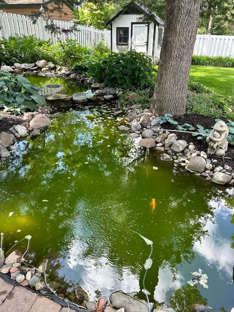 Unauthorized Water Features